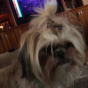 Meet your Posher, Michelle